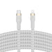 Belkin CAA011BT3MWH lightning cable 3 m White - USB cablesKBA-USB<<<Cables and adaptersKBA<<<ActionPL