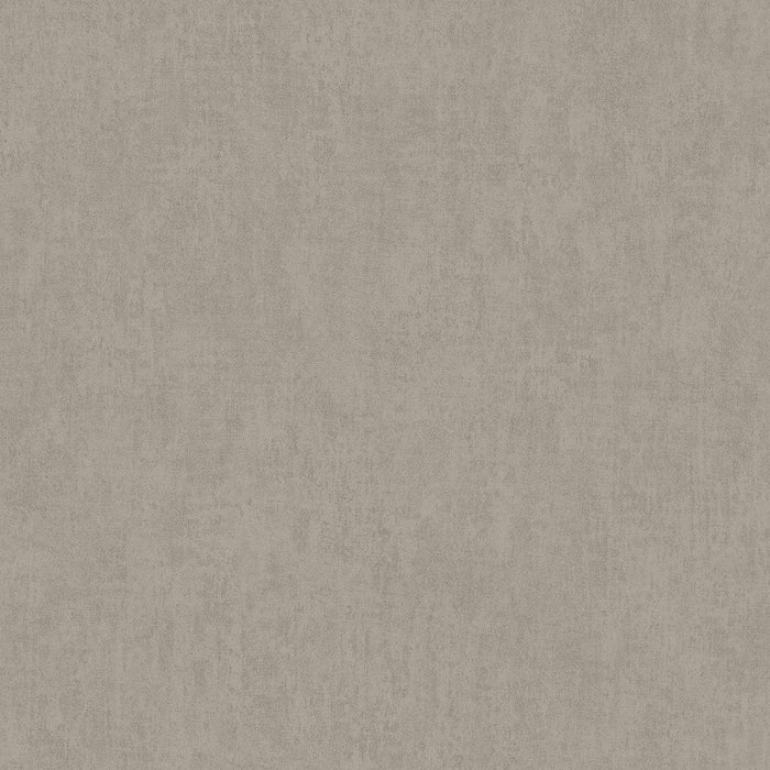 WALLPAPER DUPLEX TONI BAD GRAY-BEIGE PLASTER