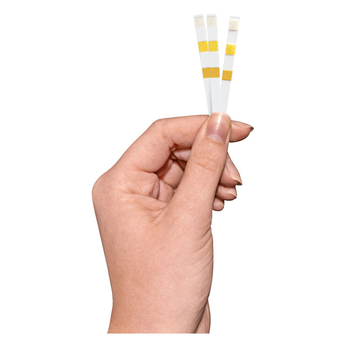 BESTWAY 58142 POOL & SPA TEST STRIPS