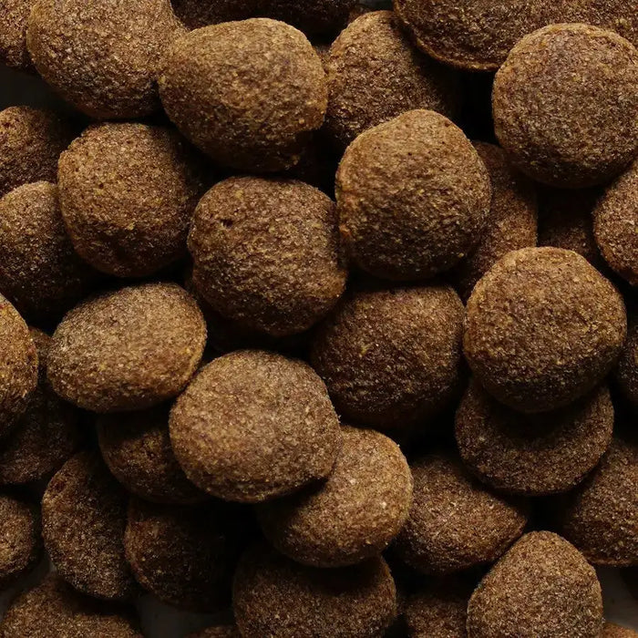 BIOFEED Nasz Pies medium & large Beef - dry dog food - 15kg - Dry foodDLP-KAS<<<For the dogDLP<<<ActionPL