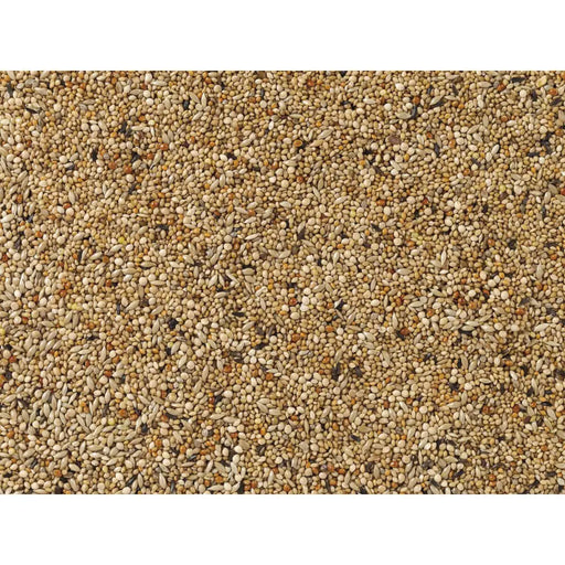 Bird food Deli Nature Premium 1 kg - Домашни Животни<<<Дом Градина<<<BigBuy&&&Хранене на домашни любимци<<<Домашни