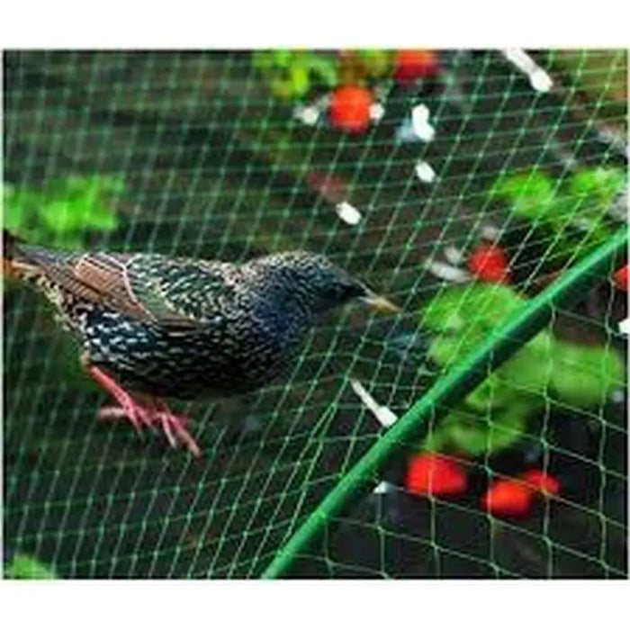 BIRD PROTECTION NETTING PROGARDEN 400x500cm - Предпазни мрежи<<<Мрежи и огради<<<Градина<<<Praktiker&&&Предпазни