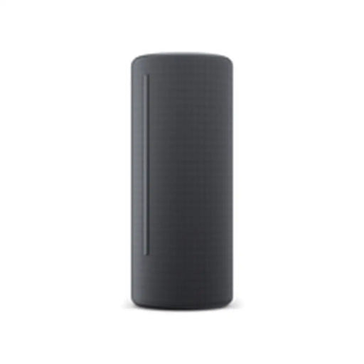 Bluetooth Speakers Loewe Grey - Електроника Звук<<<Компютри| Електроника<<<BigBuy&&&Блутут Колони<<<Електроника