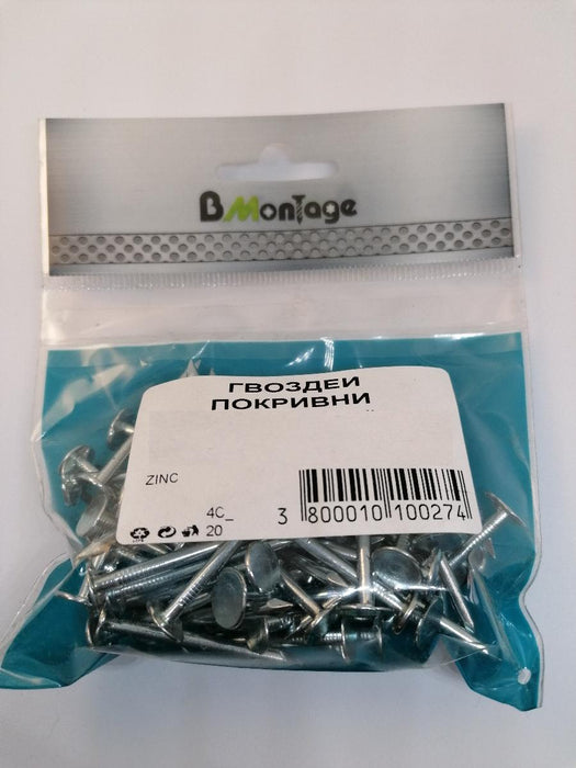 ROOF NAILS 2.5X25 200 GR BM