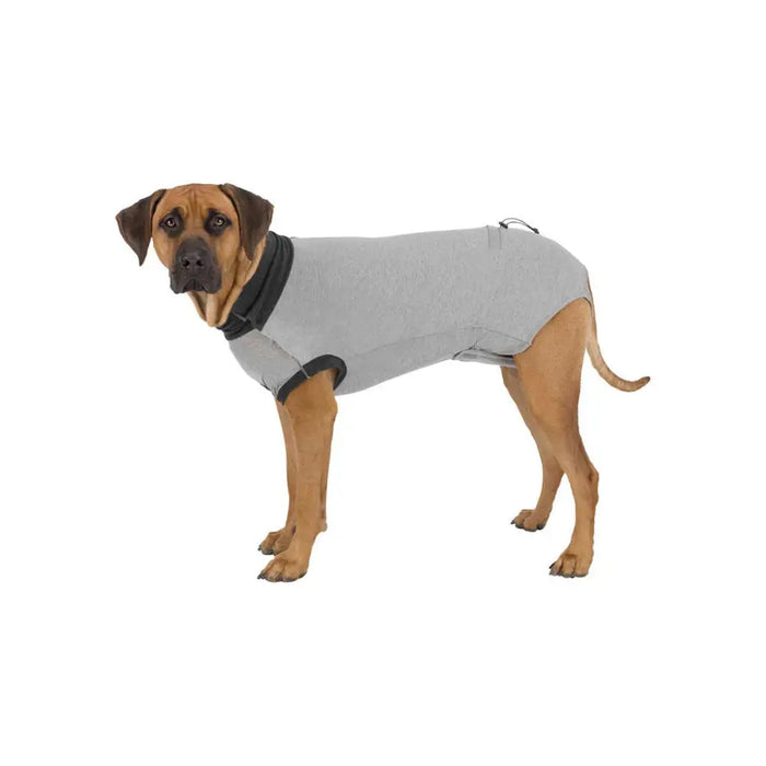 Body protector for dogs Trixie Grey S - Домашни Животни<<<Дом Градина<<<BigBuy&&&Здраве и хигиена<<<Домашни