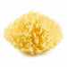 Body Sponge ThermoBaby Yellow - Баня<<<Дом Градина<<<BigBuy&&&Аксесоари и кранчета<<<Баня<<<Дом Градина<<<BigBuy