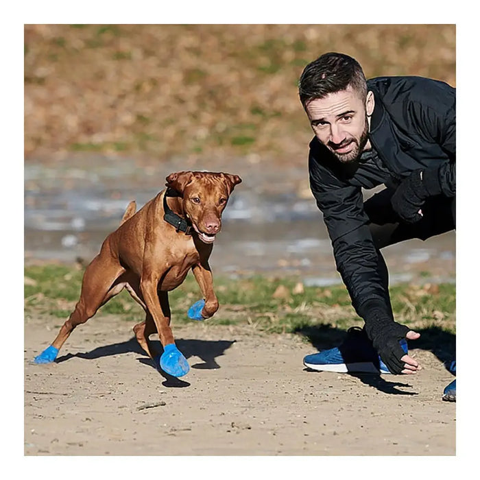 Boots Pawz Dog 12 Units Size XL Green - Домашни Животни<<<Дом Градина<<<BigBuy