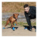 Boots Pawz Dog 12 Units Size XL Green - Домашни Животни<<<Дом Градина<<<BigBuy