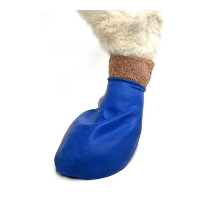 Boots Pawz Dog 12 Units Size XL Green - Домашни Животни<<<Дом Градина<<<BigBuy