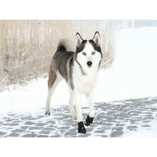 Boots Trixie 19465 Black L - Домашни Животни<<<Дом Градина<<<BigBuy&&&Пътуване и разходки<<<Домашни Животни<<<Дом