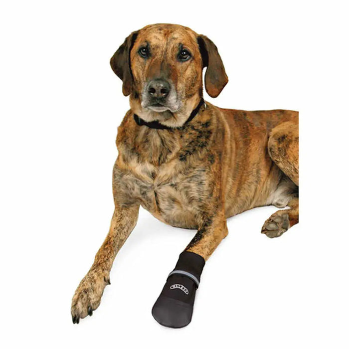 Boots Trixie Walker Care Comfort Black XXL - Домашни Животни<<<Дом Градина<<<BigBuy&&&Пътуване и разходки<<<Домашни