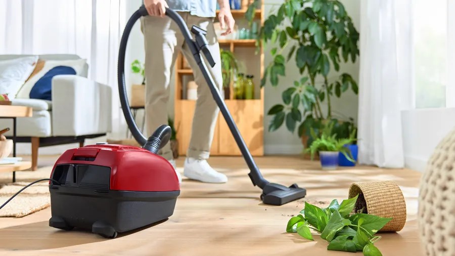 Bosch Serie 4 BGB38RD2 vacuum 4 L Cylinder vacuum Dry 600 W Dust bag