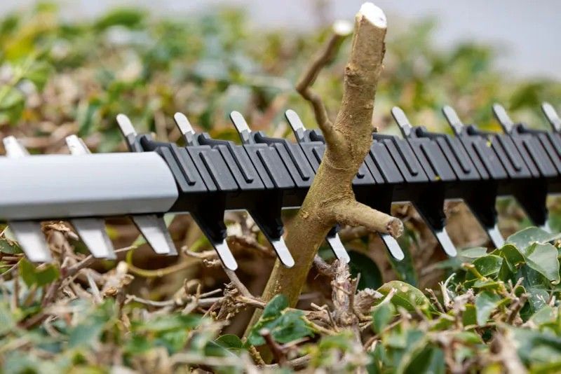 Hedge trimmer BOSCH 06008C9500 18 V