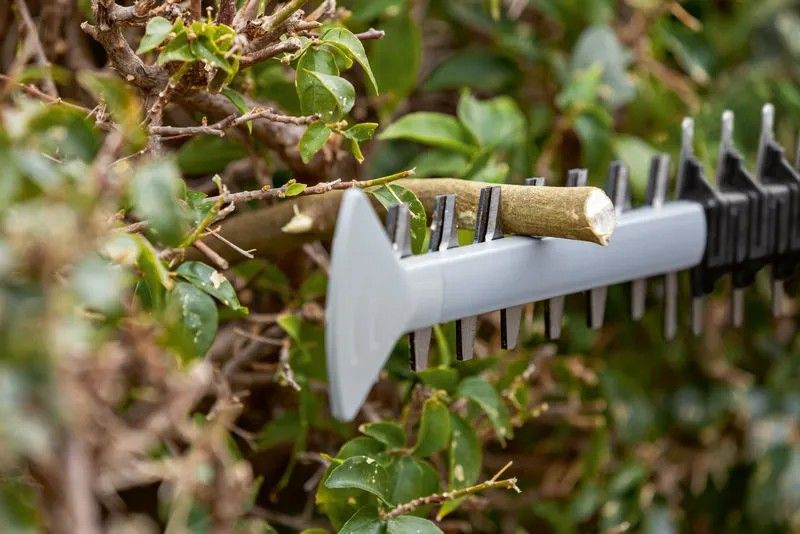 Hedge trimmer BOSCH 06008C9500 18 V
