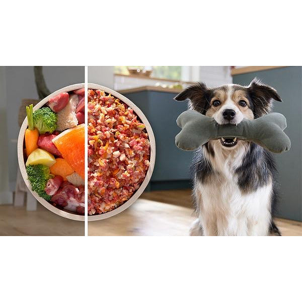 Meat grinder BOSCH MFWS682B MultiPower