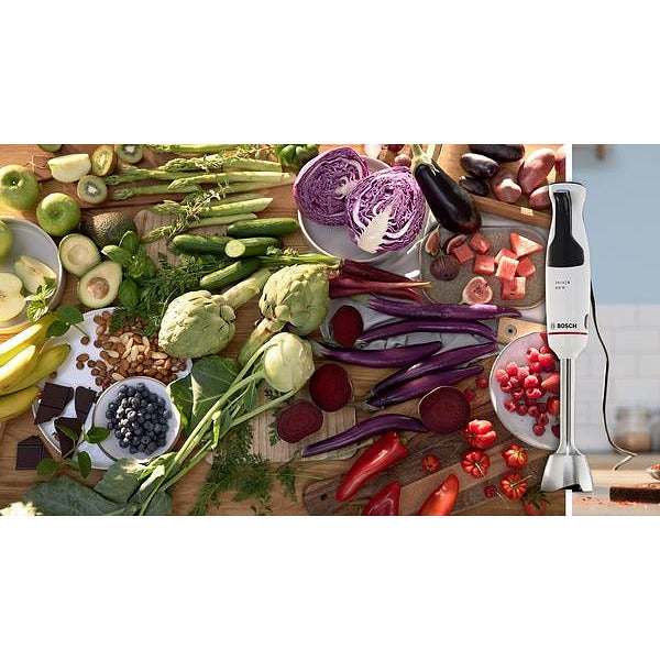 Blender BOSCH MSM4W220