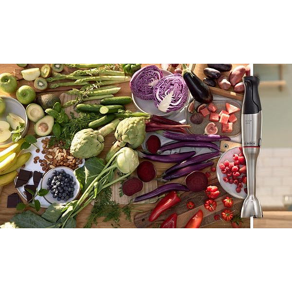 Blender BOSCH ErgoMaster MSM6M8X1