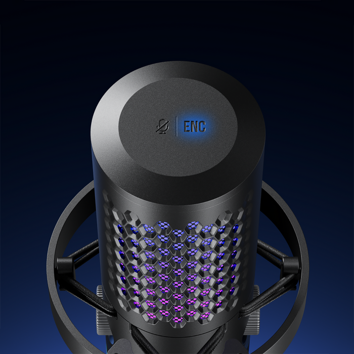 BOYA CastMic G40B Wired Gaming Microphone with Arm, USB-C - Black