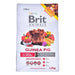 BRIT Animals Guinea Pig Complete - dry food for guinea pigs - 1.5 kg - FodderDMZ-KAR<<<For small animalsDMZ<<<ActionPL