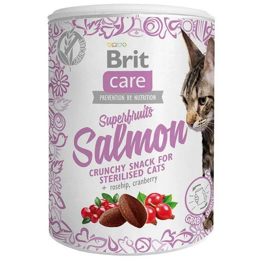 BRIT Care Superfruits Salmon - cat treats - 100 g - DelicaciesDLK-PRZ<<<For the catDLK<<<ActionPL