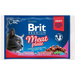 BRIT Premium Cat Meat Plate - wet cat food - 4x100g - Wet foodDLK-KAM<<<For the catDLK<<<ActionPL