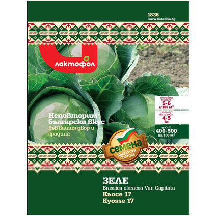 BULGARIAN KYOCE CABBAGE SEEDS - Семена<<<Семена луковици и разсад<<<Градина<<<Praktiker