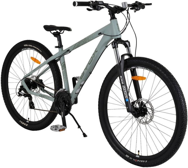 BYOX 29 24SK ALUMINUM GRAY BICYCLE