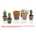 CACTUS HD MAINTENANCE SET - Кактуси<<<Стайни растения<<<Градина<<<Praktiker