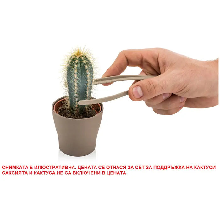 CACTUS HD MAINTENANCE SET - Кактуси<<<Стайни растения<<<Градина<<<Praktiker