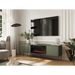 Cama RTV cabinet EF + fireplace black TRESSE 180x40x54.5 matte green - TV cabinets made of furniture boardSTV-ZPM<<<TV