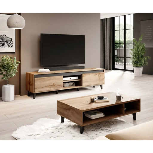 Cama TV stand NORD II 170cm wotan/antracite - TV cabinets made of furniture boardSTV-ZPM<<<TV cabinetsSTV<<<ActionPL