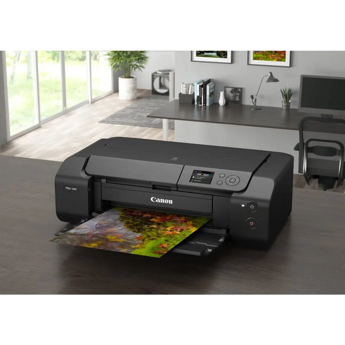 CANON Pixma PRO-200 photo printer 1.5min/3min picture - Мастила за принтери<<<Принтери и мултифункционални<<<Печат