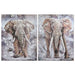 Canvas Home ESPRIT Grey Elephant Colonial 90 x 3 x 120 cm (2 Units) - Декорация и Осветление<<<Дом