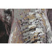 Canvas Home ESPRIT Grey Elephant Colonial 90 x 3 x 120 cm (2 Units) - Декорация и Осветление<<<Дом