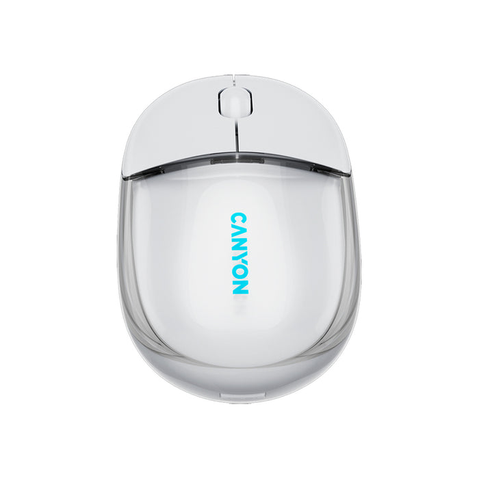 Mouse CANYON CNS-CMSW24W Silent Click