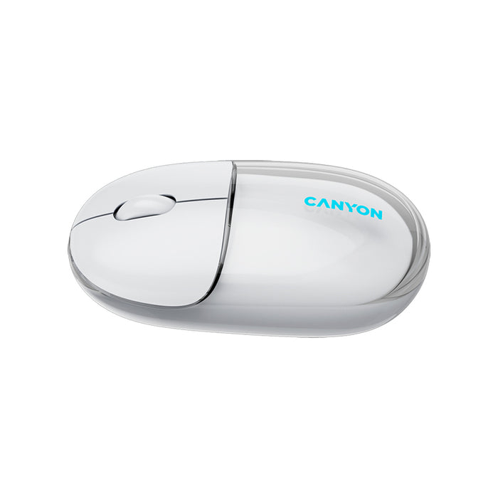 Mouse CANYON CNS-CMSW24W Silent Click