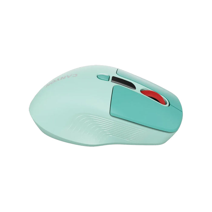 Mouse CANYON CNS-CMSW26GR Silent Click