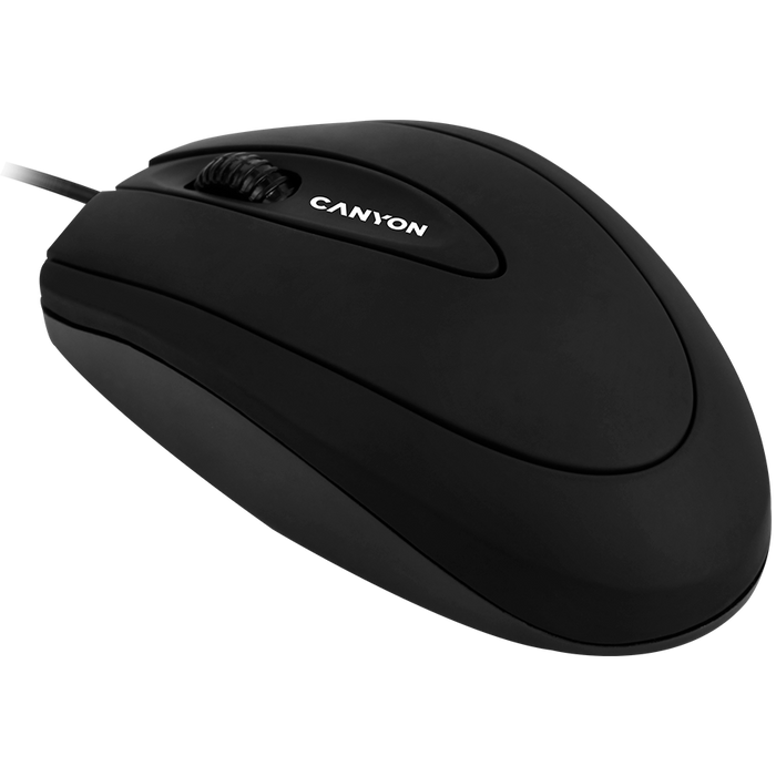 Canyon CNE-CMS1 mouse