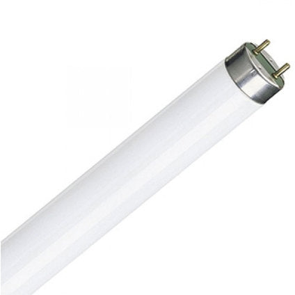 LAMP 6W CARE