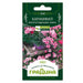 CARNATION SEEDS PERENNIAL GARDEN - Семена<<<Семена луковици и разсад<<<Градина<<<Praktiker