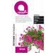CASCADE PETUNIA SEEDS LAKTOFOL BOTANIC - Семена<<<Семена луковици и разсад<<<Градина<<<Praktiker