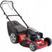 CASTEL GARDEN XC 53 S MOTOR SELF-PROPELLED MOWER 166.0 cm3 3.49 HP MOWING WIDTH 51.00 cm SELF-PROPELLED FUNCTION