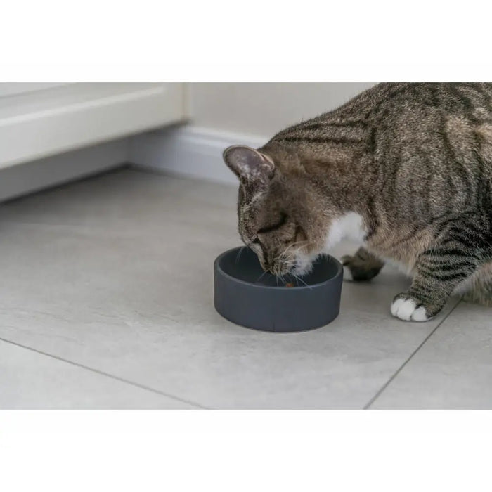 Cat Feeder Trixie Ceramic Ø 12 cm - Домашни Животни<<<Дом Градина<<<BigBuy&&&Купички за храна и вода<<<Домашни