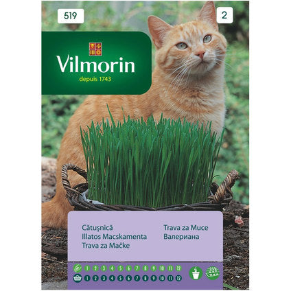 CAT GARDEN/VALERIAN SEEDS VILMORIN - Семена<<<Семена луковици и разсад<<<Градина<<<Praktiker