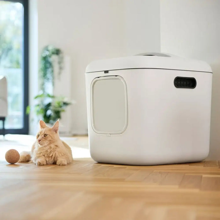 Cat Litter Box Rotho Biala XL White Plastic - Играчки<<<Домашни Животни<<<Дом Градина<<<BigBuy&&&Litter