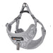 Cat set Dogness harness and leash 1,5m (Light Grey) - Walking and transportation<<<Pets<<<InnproXML