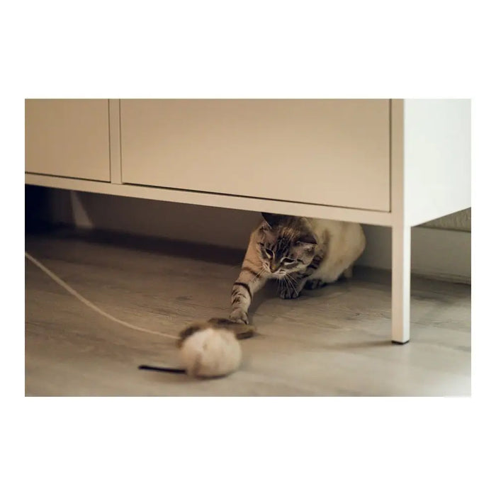 Cat toy Gloria Renzo Mouse - Домашни Животни<<<Дом Градина<<<BigBuy&&&Играчки<<<Домашни Животни<<<Дом Градина<<<BigBuy