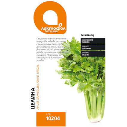 CELERINE SEEDS LACTOFOL BOTANIC - Семена<<<Семена луковици и разсад<<<Градина<<<Praktiker