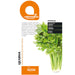 CELERINE SEEDS LACTOFOL BOTANIC - Семена<<<Семена луковици и разсад<<<Градина<<<Praktiker