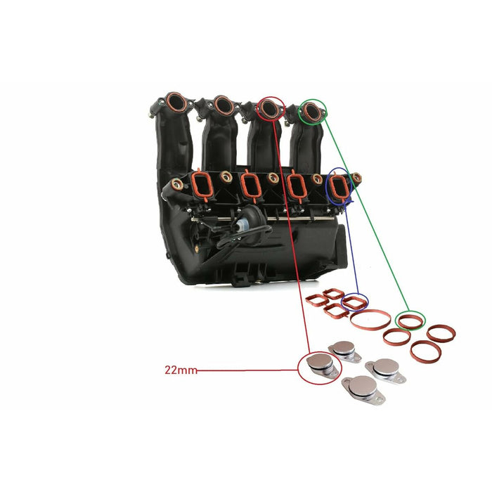 Clothes Dye Celly KIDSBOARDLB